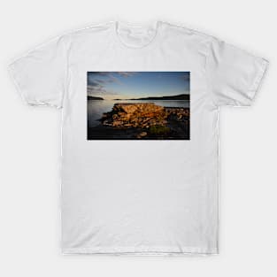 Loch Na Keal T-Shirt